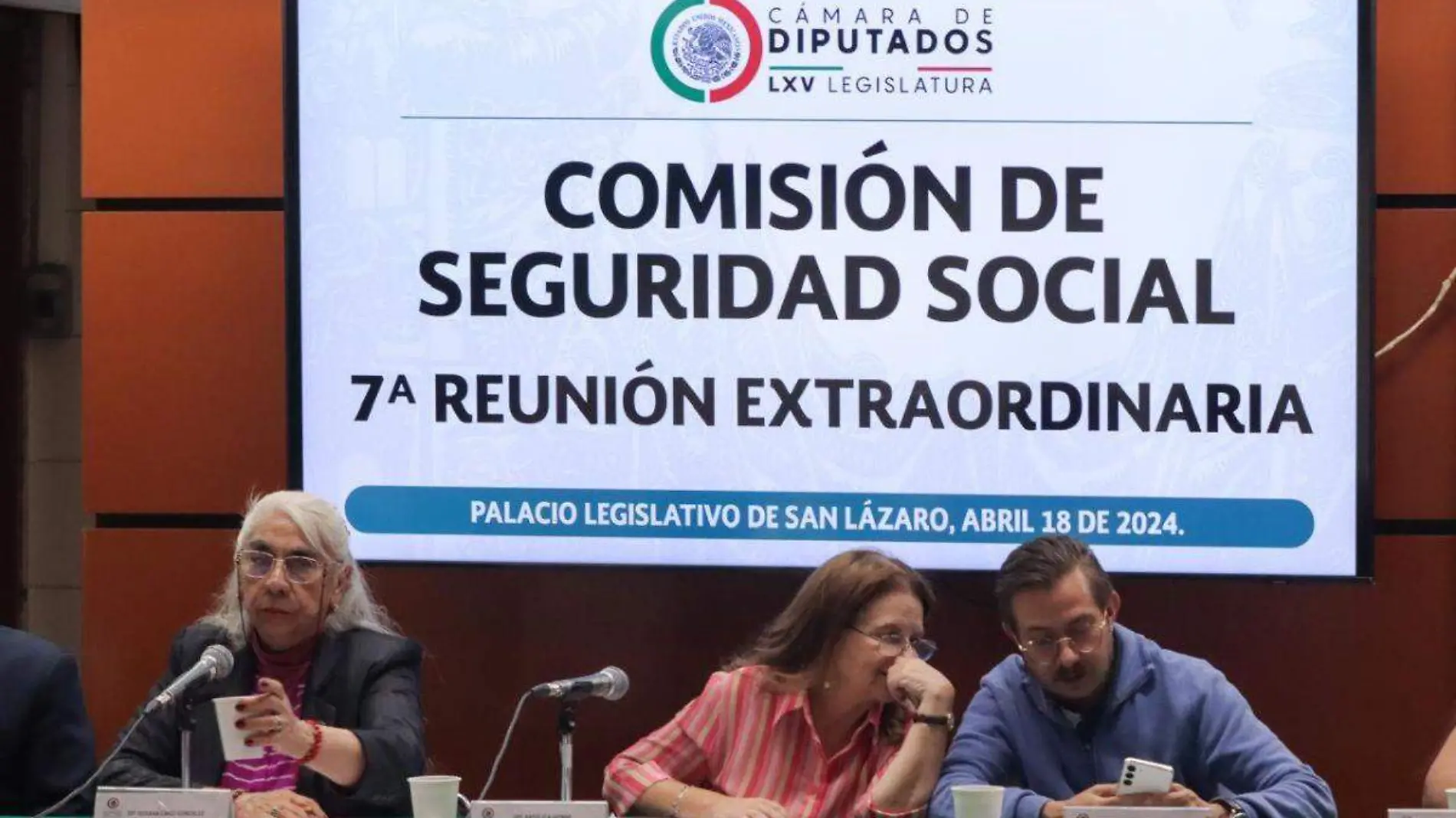 Fonde de Pensiones para el Bienestar-Cámara de Diputados